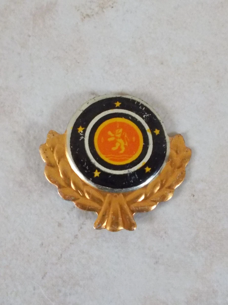 PIN'S LAPEL PIN SPILLA CAR AUTO VOITURE FORD BRETIGNY GARAGE RARE