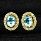 Exquisite Ocean Blue Aquamarine 4.50Ct 925 Sterling Silver 24K Gold Earrings