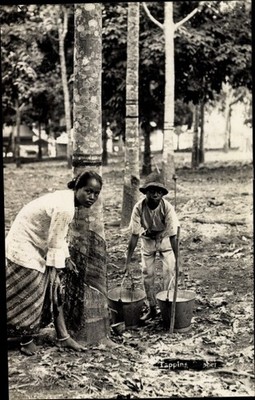 Photo Postcard Malaysia Woman and Child Win Rubber on Tree - 3366186