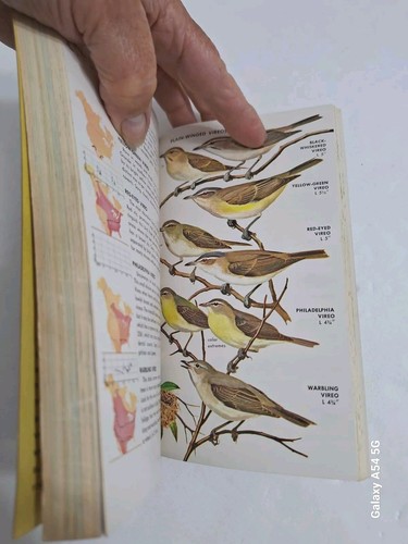 Birds of North America A Guide To Field Identification Vintage 1966 Golden Guide - Imagen 7 de 8