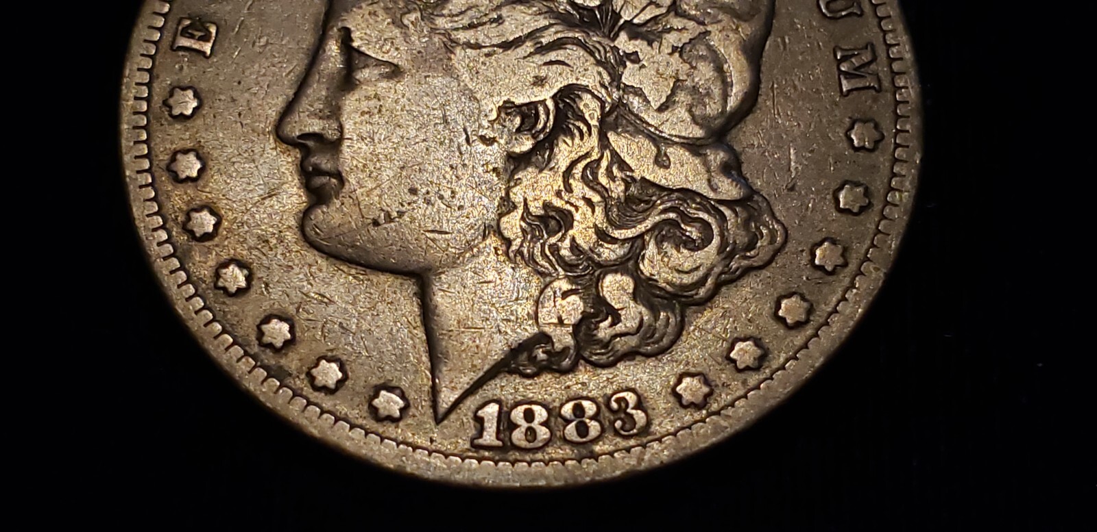 Picture 5 of 13