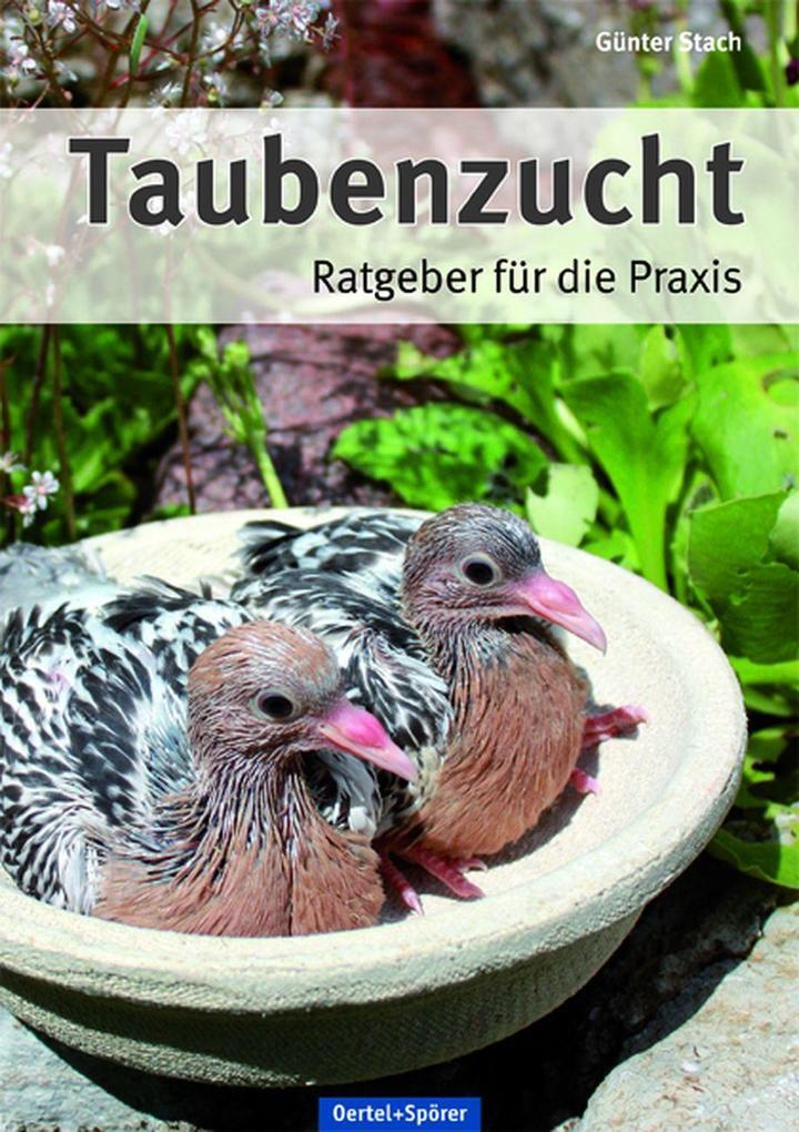 Thumbnail - Taubenzucht | Günter Stach | 2018 | Deutsch