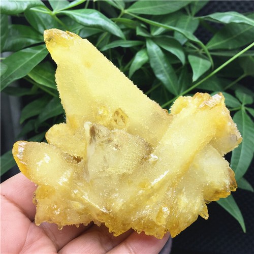 335g PRETTY Yellow AN QUARTZ CRYSTAL CLUSTER Specimen HEALING X511 - Picture 7 of 9