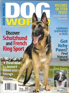 schutzhund shepherd german