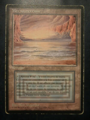 MTG Underground Sea FBB 黒枠 フランス語 3枚 s-l400.jpg