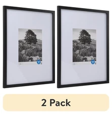 Black 8x10 Gallery Light Matted Picture Frame, 2 Pack, Wall Photo