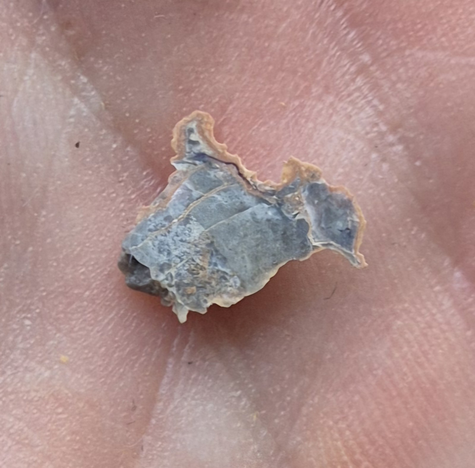 Picture 1 of 5