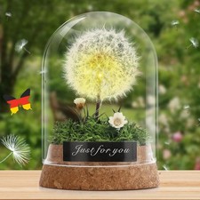 Wunscherfüller Echte Pusteblume im Glas mit Warmweiß LED Licht Ewig Geschenke DE