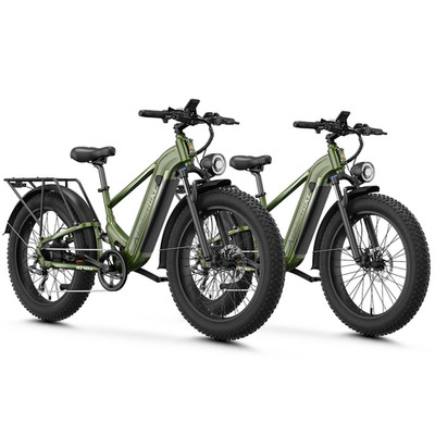 2 Pack 1800W Ebikes for Adults Hydraulic Brakes Fat Tire Mountain Bikes