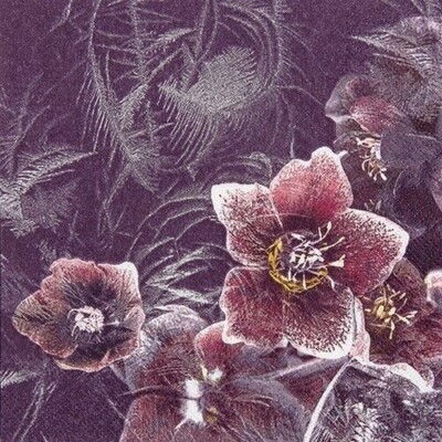 4 Servietten - Eisige Winterrosen lila - Icy Christmas Rose 33 x 33 B70
