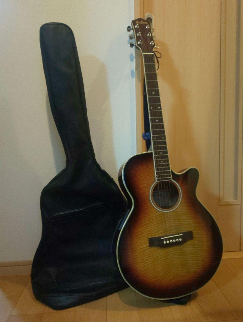 Electric Acoustic Guitar Pro Martin EA500W VS Sunburst Flame Electric Acoustic Guitar Pro Martin EA500W VS Sunburst Flame