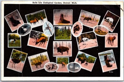 VINTAGE POSTCARD MULTIPLE ANIMAL SCENES AT BELLE ISLE ZOOLOGICAL GARDENS DETROIT