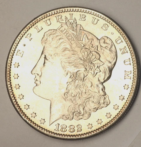 1882 S MORGAN DOLLAR! CREAM PUFF CAMEO DMPL/PL HUGE MIRRORS! MS++++++