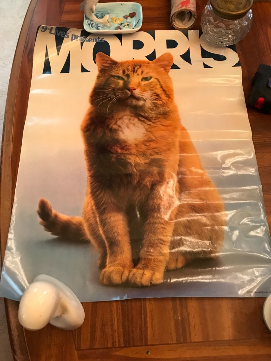 【CAT】　vintage poster Vintage Poster 1980 9-Lives Present Morris The Cat 17 x 22