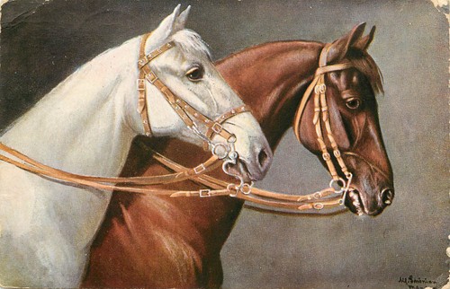 Kunst Postkarte weiße und braune Pferde mit Zaumzeug S/A Simonian Lahonian
