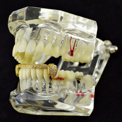 14k Gold Plated Half Grillz Bottom Flooded Out Blinged Iced Teeth Slim CZ Bar - Picture 2 of 6