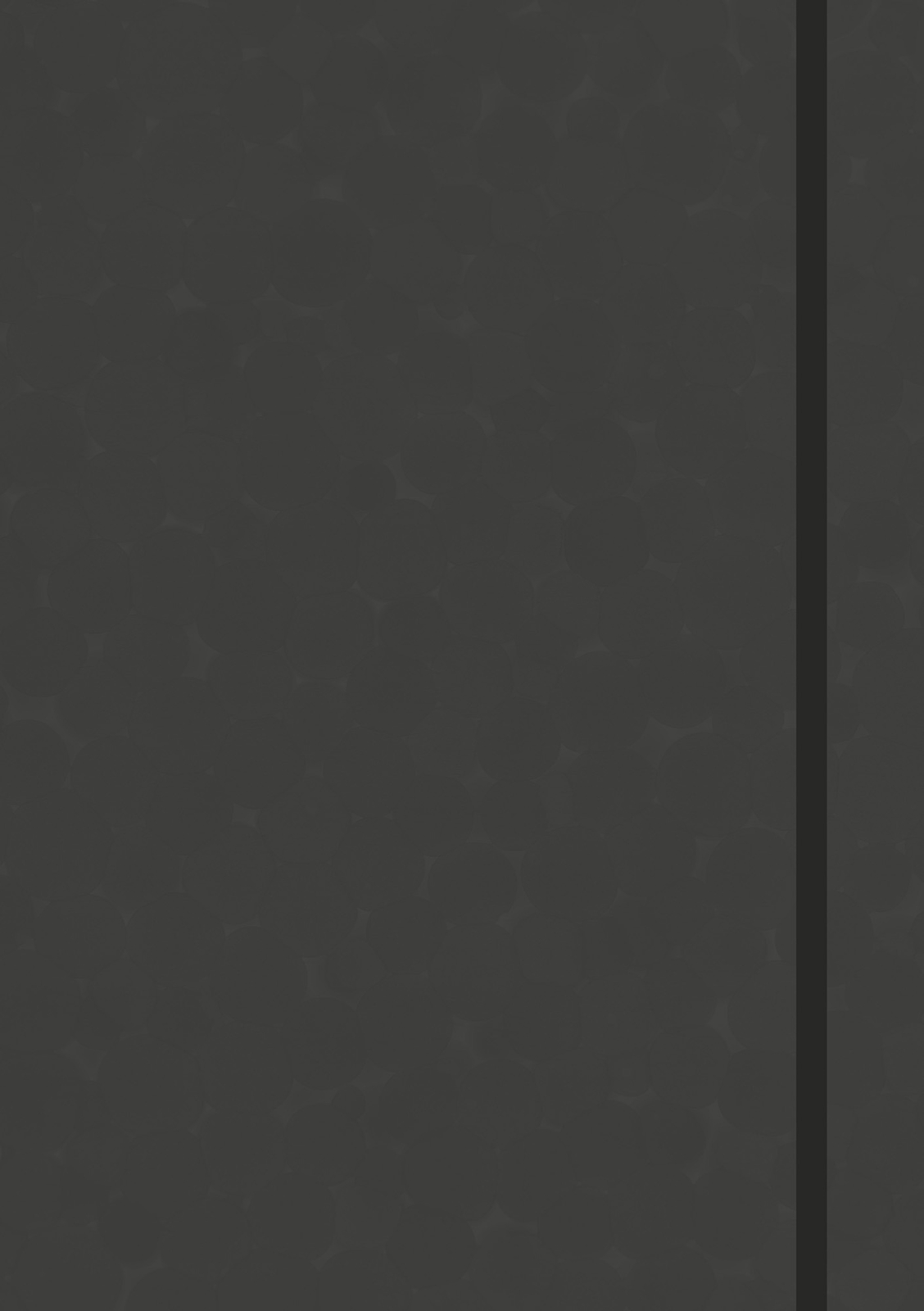 Unbekannt. / Anaconda Notizbuch/notebook/blankbook, Punktiert,