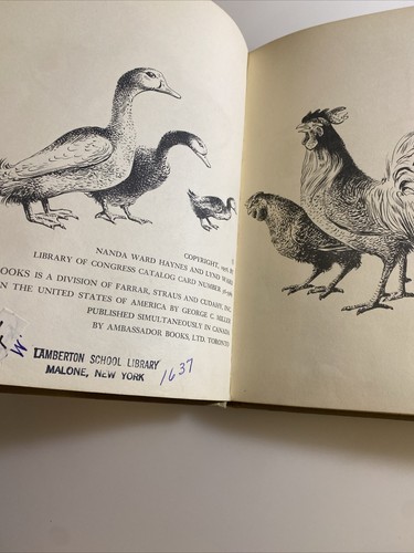 The High Flying Hat by Nanda Ward 1956 Children’s Book 📕 abb - Picture 3 of 5