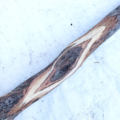 Diamond Willow Carving Wood Blank 54'' Walking Stick