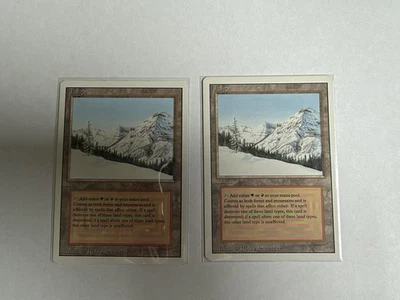 MTG　Taigaマジック：ザ・ギャザリング Taiga (Magic: The Gathering) Magic: The Gathering Revised Edition