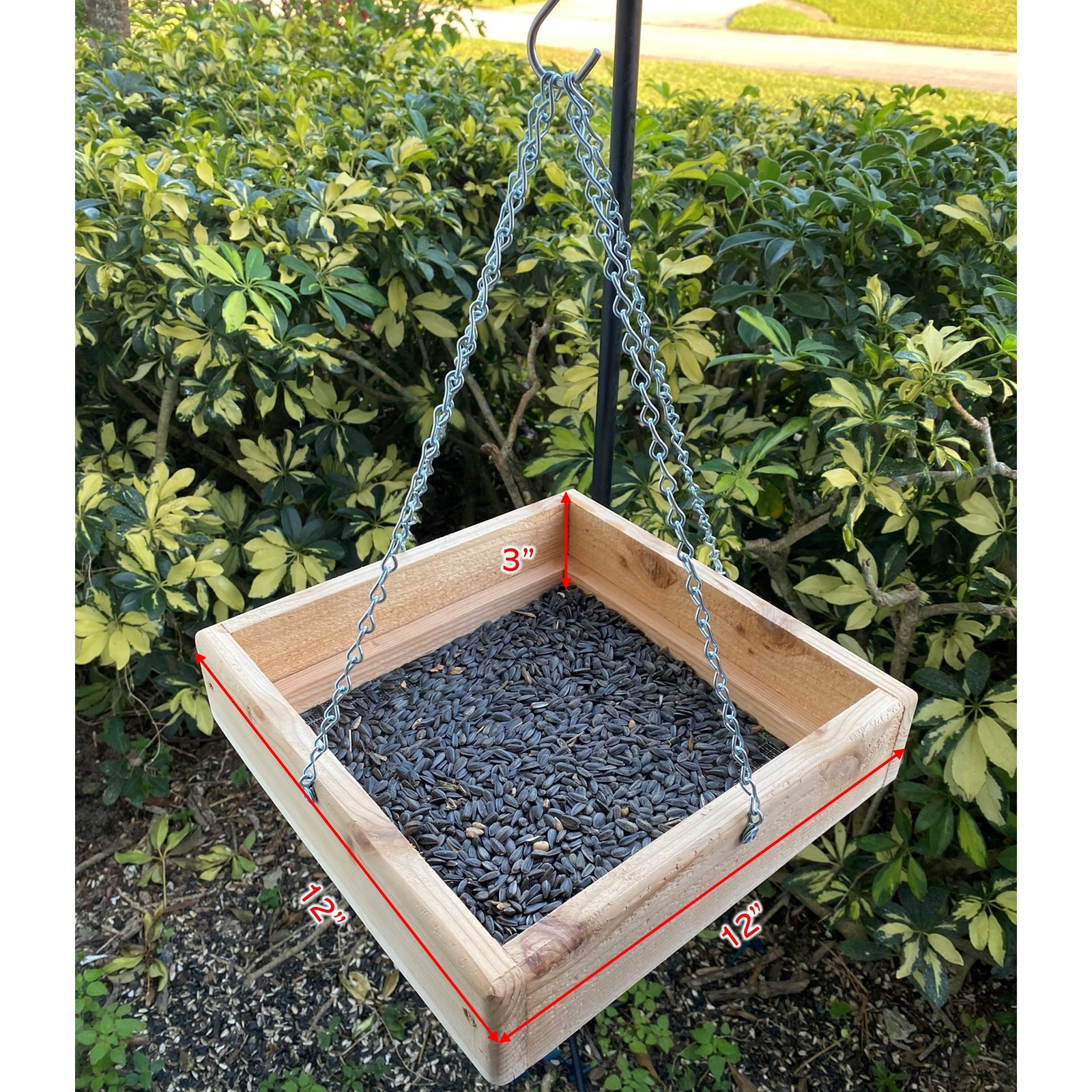 Picture 2 of 10