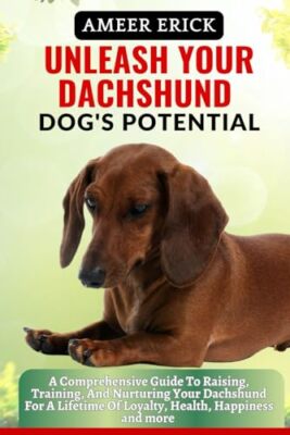 ERICK - UNLEASH YOUR DACHSHUND DOG'S POTENTIAL  A Comprehensive Guide  - X555z