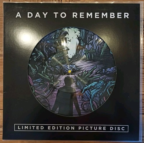A Day to Remember Homesick Picture Vinyl LP Limitiert 3000 Stück METALCORE *Rar* - Bild 2 von 5