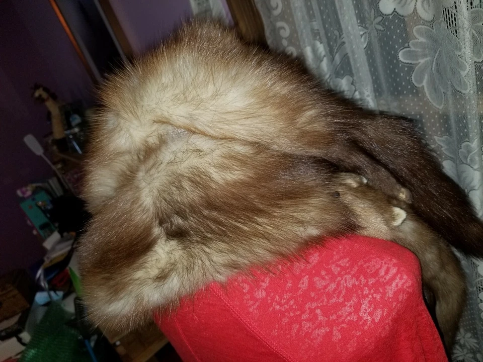 ESTOLAS DE PIEL DE VISÓN VINTAGE 4 PIELES ENTERAS ABRIGO CUELLO ENVOLTURA  Foto 2 de 4