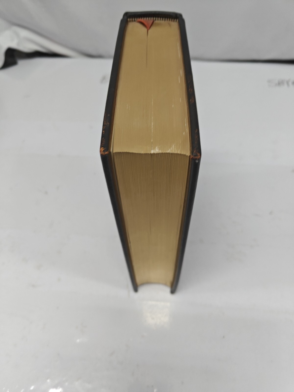 Picture 6 of 6