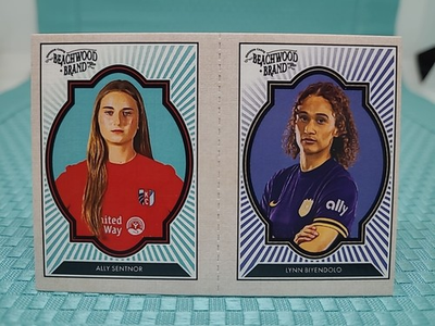 #ad 2025 Parkside Beachwood Brand Lynn Biyendolo 33 Ally Sentnor 1 $9.99