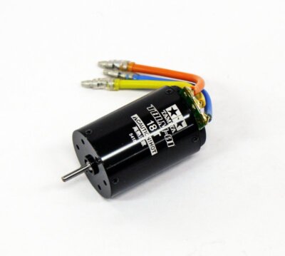 Tamiya 54181 RC Car Buggy TBLM-01 18T 540 Brushless Motor 01