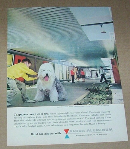1961 print ad - Alcoa Aluminum cute boy shaggy dog Eaton school Cupertino CA - 第 1/1 張圖片