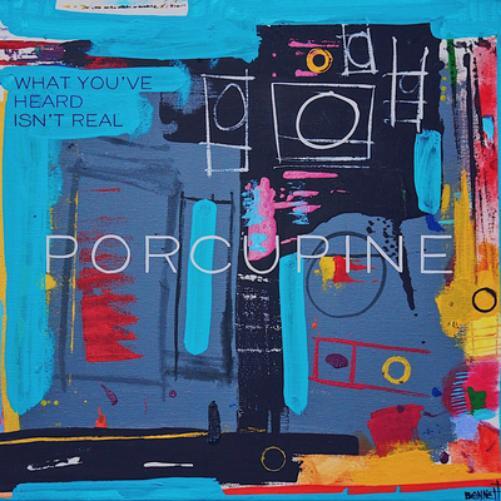 Porcupine What You've Heard Isn't Real (Vinyl LP) 12" Album