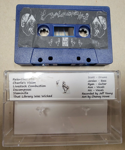SALMONELLA Promo Demo Tape 2017 RARE RAT MIX 016 Death Crust Metal NC Leachate - Picture 2 of 3
