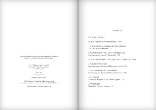 The Kabbalistic Mirror of Genesis by David Chaim Smith (First Edition/Paperback) - Picture 3 of 9