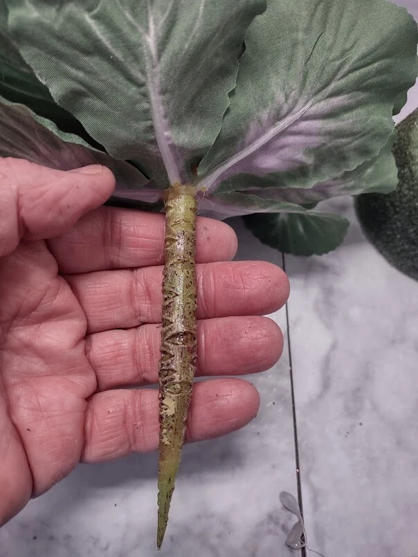 Mini rose artificial decorative cabbage. Silk Flowers - Image 4 of 4