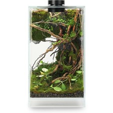 Desktop Glass Plant Terrarium with Grow Light L7.8 W7.8 H14 , for Succulent, ...