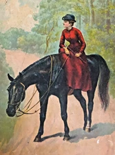 Black Beauty Book Antique 1890's Original Publication McLouglin Bros. Original