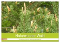 Naturwunder Wald (Wandkalender 2027 DIN A2 Quer), Calvendo Monatskalender