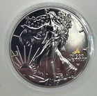 2025 1oz Silver Eagle Privy ASE --Black Ruthenium And Gold Privy Edition