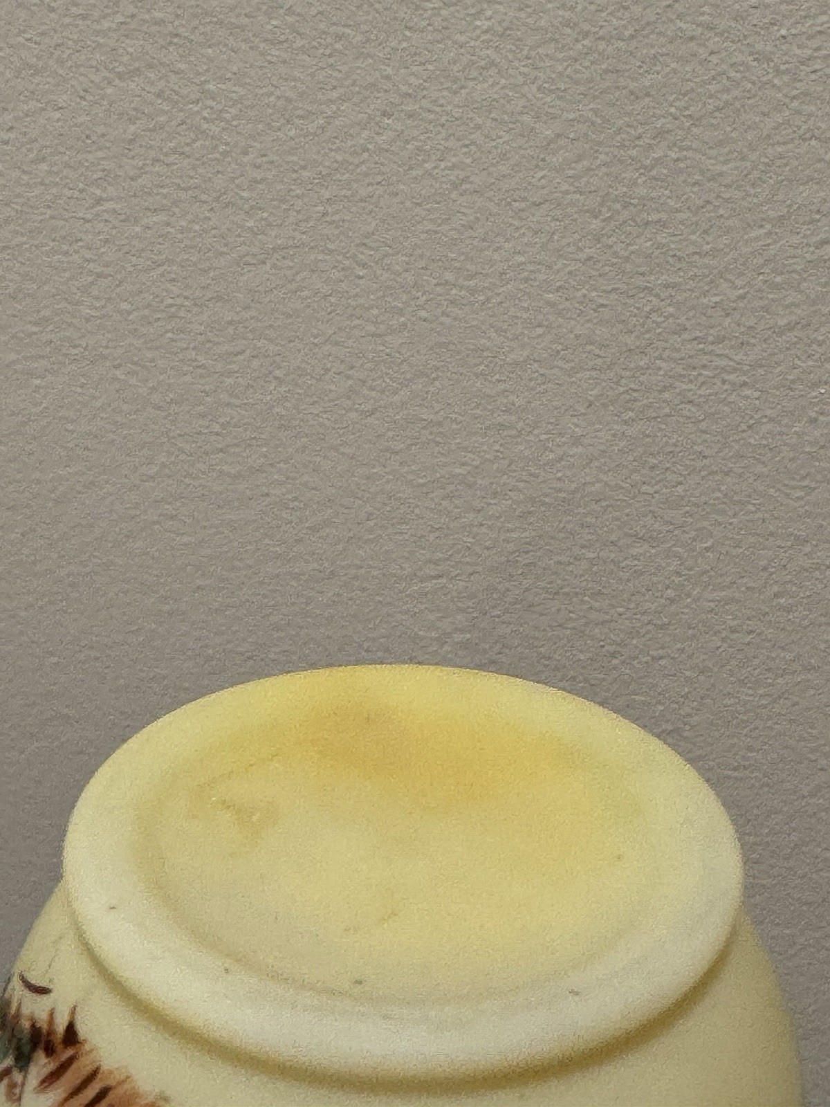 Picture 7 of 7