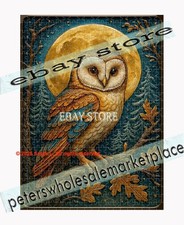 500 piece jigsaw puzzle Celtic Owl Moon Night mystical
