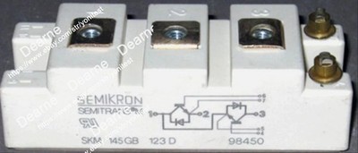 New In Box   SKM145GB123D Power Supply Module *tn