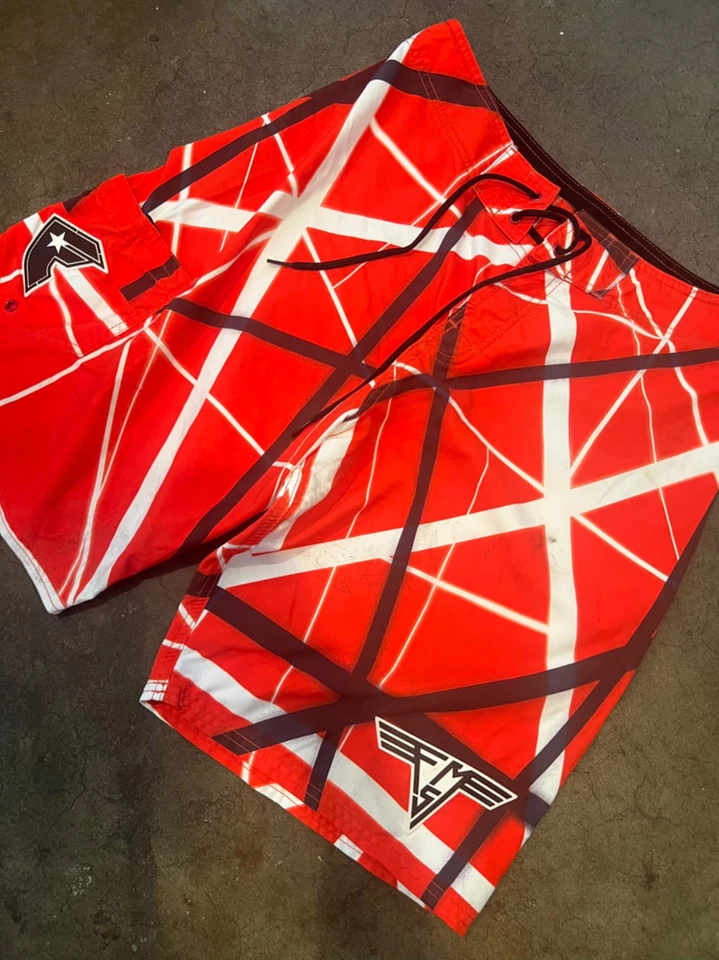 Шорты-бордшорты Famous Stars and Straps 'EVH Stripes' - Изображение 2 из 4