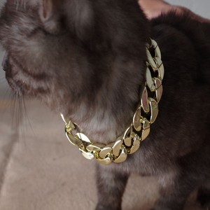 chain collar for cats