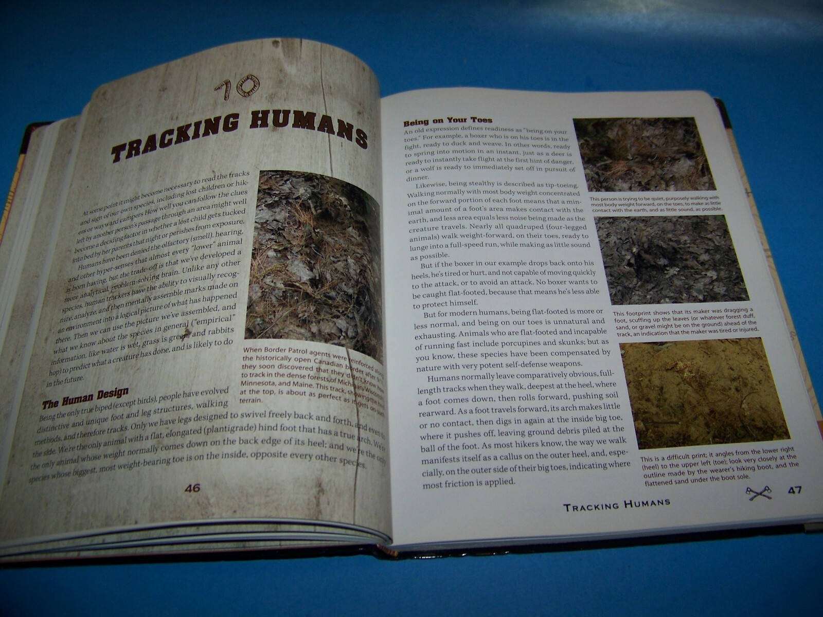 Picture 7 of 8