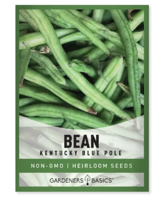 GARDENERS BASICS Kentucky Blue Pole Bean Seeds