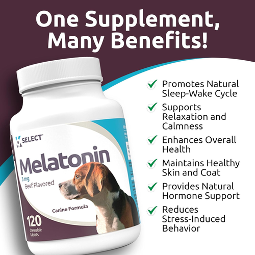 Dogs 3mg 120 Chews Calming Treats Anxiety Relief Sleep Aid Beef Flavour - Picture 5 of 12