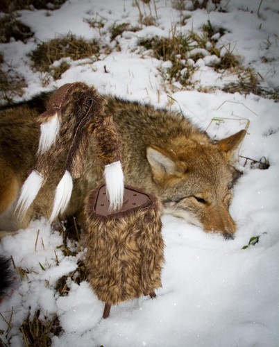 Portable Super Critter Decoy: 20-Hour Battery Life & Remote Control Ready - Picture 7 of 10