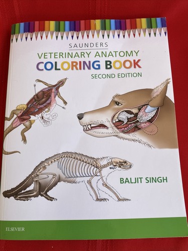 New Veterinary Anatomy Coloring Book 2nd Edition by Saunders English ...